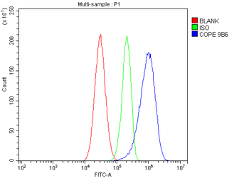 COPE Antibody (monoclonal, 9B6)