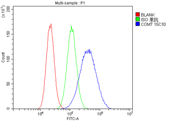 COMT Antibody (monoclonal, 15C10)