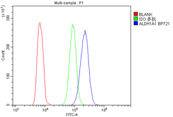 Retinal dehydrogenase 1 ALDH1A1 Antibody