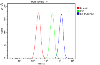 EIF4A1/2/3 Antibody