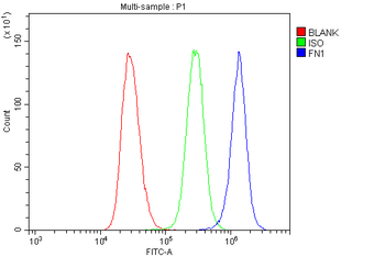 Fibronectin/FN1 Rabbit Polyclonal Antibody