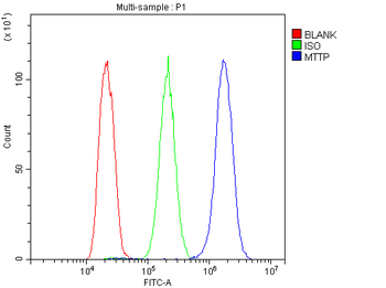 MTTP Rabbit Polyclonal Antibody