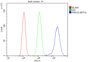 PKC delta/PRKCD Antibody
