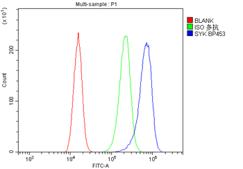 SYK Rabbit Polyclonal Antibody