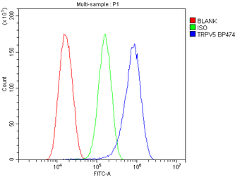 TRPV5 Antibody