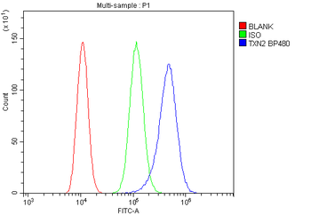 Thioredoxin 2/TXN2 Antibody