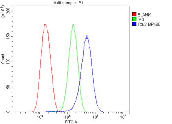Thioredoxin 2/TXN2 Antibody