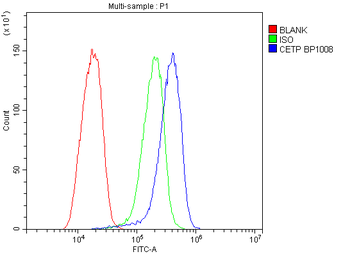 CETP Antibody