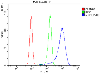 MTR Rabbit Polyclonal Antibody
