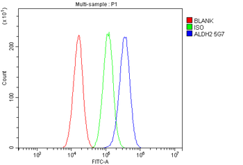 ALDH2 Mouse Monoclonal Antibody