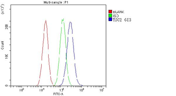 Tuberin TSC2 Mouse Monoclonal Antibody