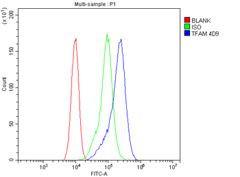 mtTFA TFAM Mouse Monoclonal Antibody