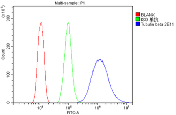 Beta Tubulin TUBB Antibody (monoclonal, 2E11)