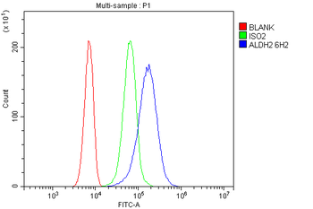 ALDH2 Mouse Monoclonal Antibody