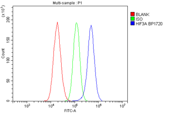 HIF3/HIF3A Rabbit Polyclonal Antibody