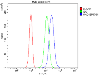 MAG Antibody