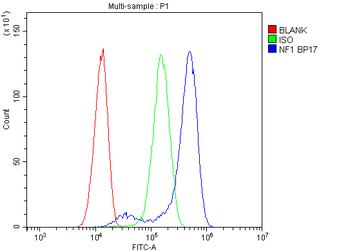Neurofibromin/NF1 Antibody