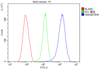 HMG4 Antibody (monoclonal, 8H9)