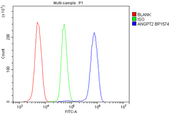 Angiopoietin-2/ANGPT2 Antibody