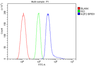 ZNFN1A2/HELIOS/IKZF2 Antibody