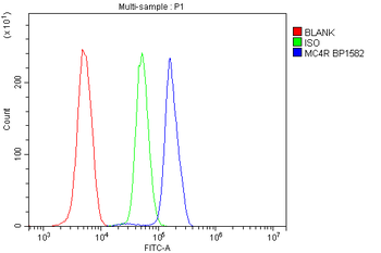 MC4-R/MC4R Antibody