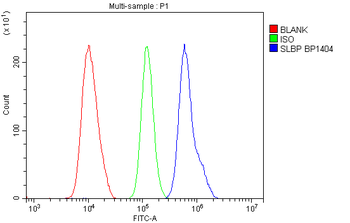 SLBP Rabbit Polyclonal Antibody