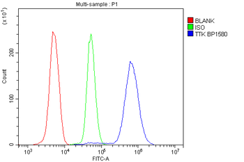 TTK/Mps1/TTK Rabbit Polyclonal Antibody