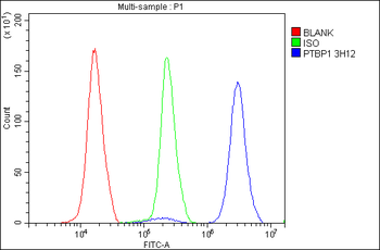 PTBP1 Antibody (monoclonal, 3H12)