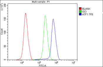 ATF1 Mouse Monoclonal Antibody