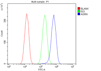 Agrin/AGRN Rabbit Polyclonal Antibody