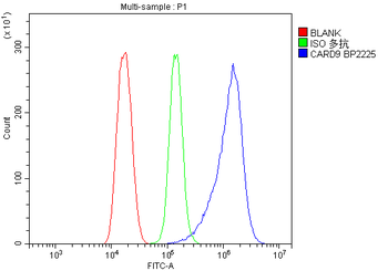 CARD9 Rabbit Polyclonal Antibody