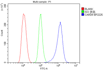 CARD9 Rabbit Polyclonal Antibody