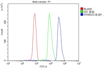 PGC1 beta/PPARGC1B Antibody