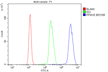 PPM1E Rabbit Polyclonal Antibody