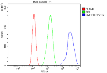 RNF168 Rabbit Polyclonal Antibody