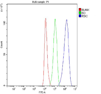 Rsk 2/MAPKAP Kinase 1b/RPS6KA3 Antibody