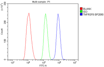 CD30/Tnfrsf8 Antibody