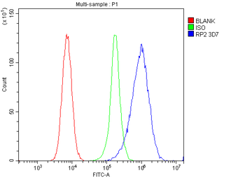 RP2 Mouse Monoclonal Antibody