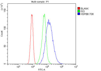 HSPB8/Hsp22 Antibody (monoclonal, 7D8)