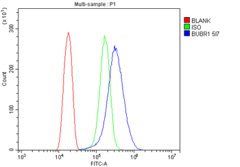 BubR1/BUB1B Mouse Monoclonal Antibody