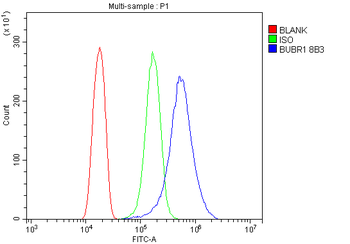BubR1/BUB1B Mouse Monoclonal Antibody