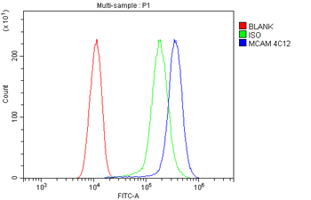 CD146/MCAM Mouse Monoclonal Antibody