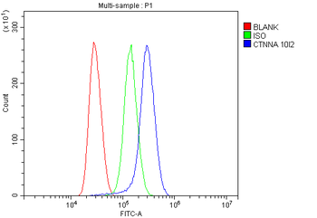 alpha 1 Catenin/CTNNA1 Mouse Monoclonal Antibody