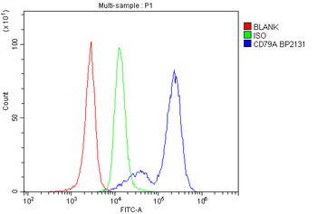 Cd79a Antibody