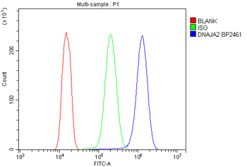 DNAJA2 Antibody
