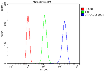 DNAJA2 Antibody