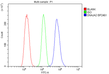 DNAJA2 Antibody