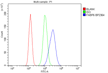 FABP6 Rabbit Polyclonal Antibody