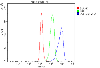 FGF10 Antibody
