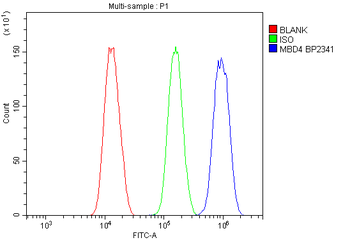 MBD4/MED1 Antibody
